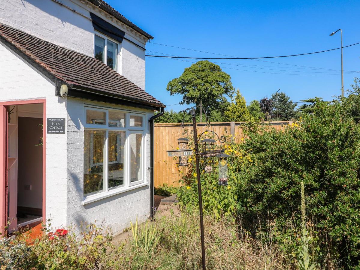 Hops Cottage Άσμπερν Εξωτερικό φωτογραφία